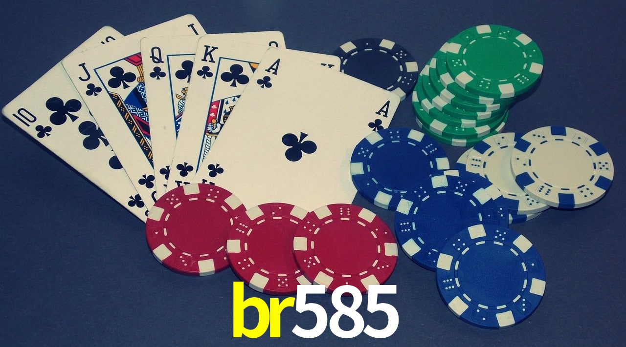 Experiência VIP br585